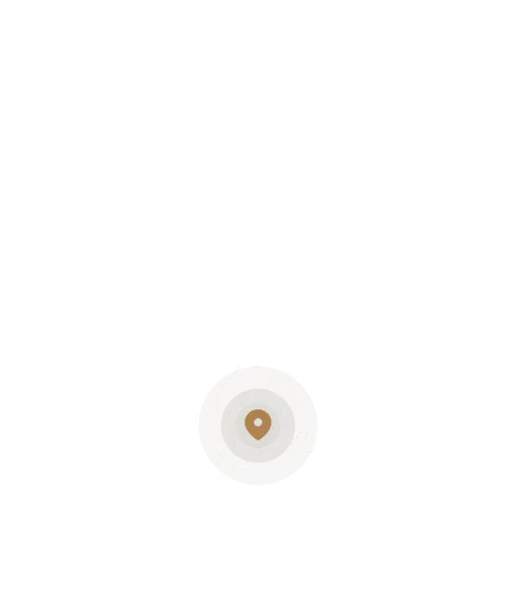 白い線で描かれた日本地図。長野県、岐阜県、愛知県、三重県の部分にピンが立てられている。